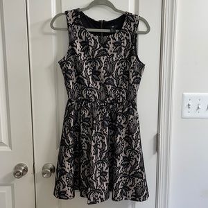 Lace Black Skater Dress